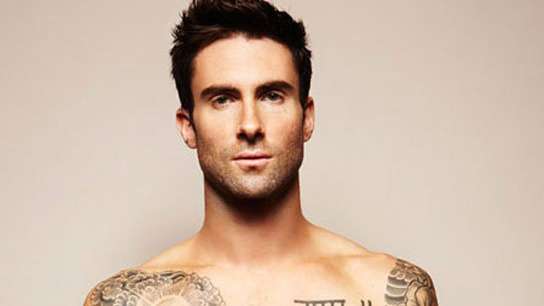 Behati Prinsloo, Adam Levine Pregnant Second Baby