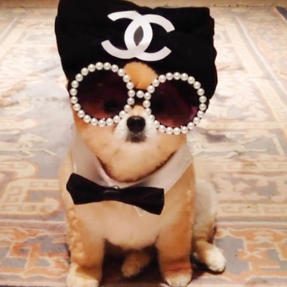 Screen Shot 2014-10-13 at 10.33.11 AM