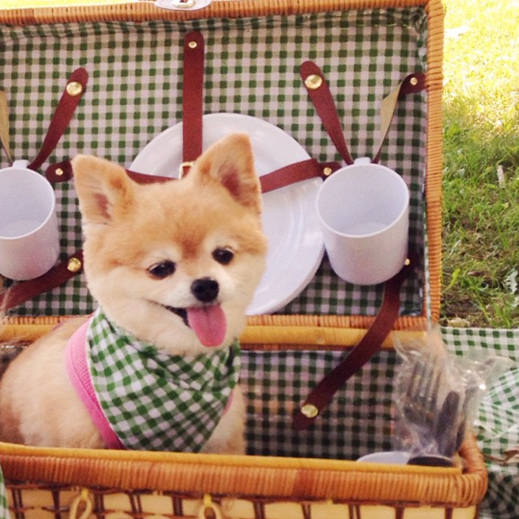 Screen Shot 2014-10-13 at 10.33.29 AM