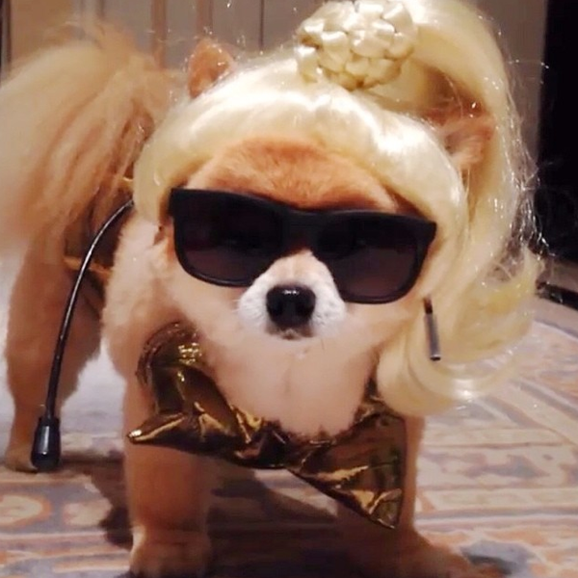 Screen Shot 2014-10-13 at 10.35.00 AM