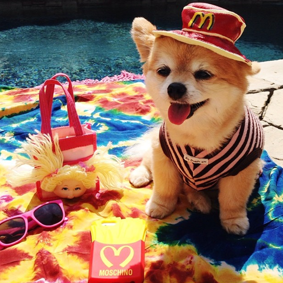 Screen Shot 2014-10-13 at 10.35.23 AM