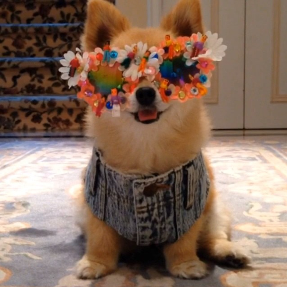 Screen Shot 2014-10-13 at 10.36.07 AM