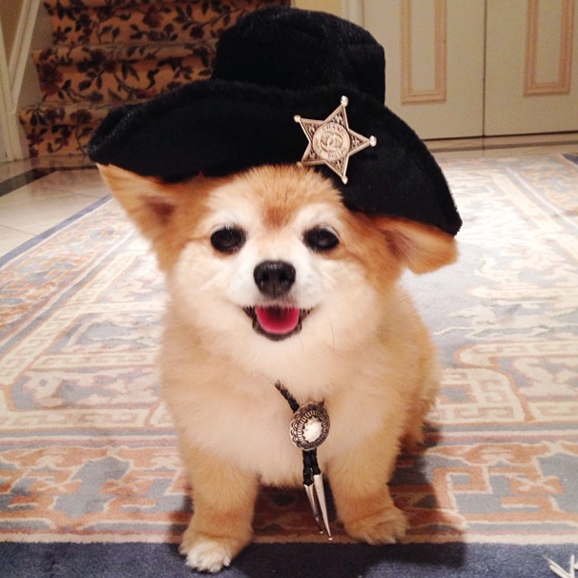 Screen Shot 2014-10-13 at 10.37.11 AM