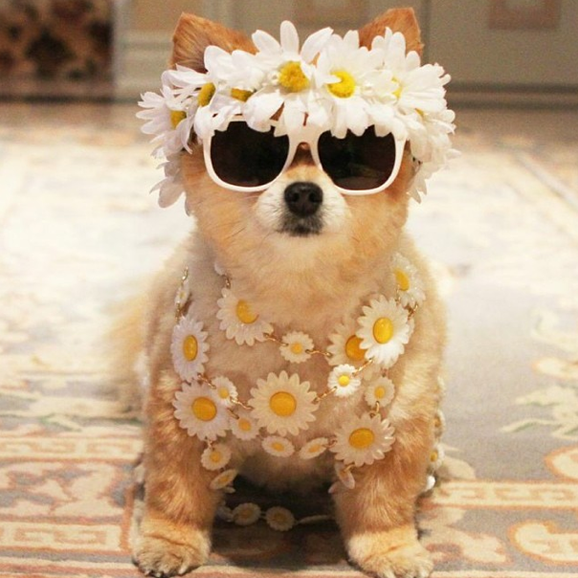 Screen Shot 2014-10-13 at 10.37.24 AM