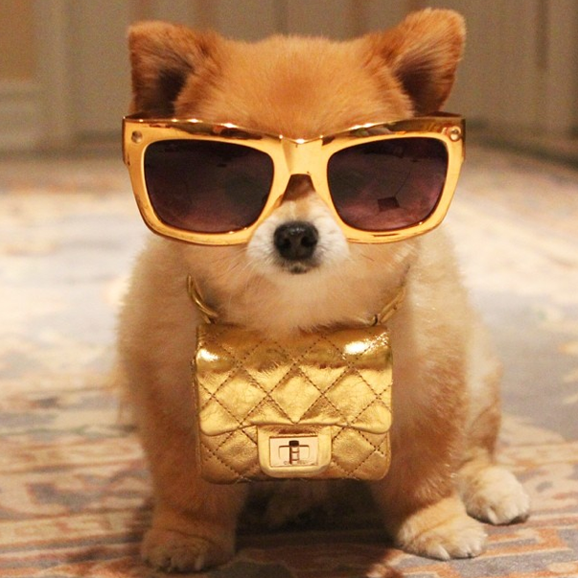 Screen Shot 2014-10-13 at 10.38.35 AM