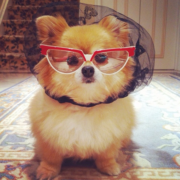 Screen Shot 2014-10-13 at 10.39.37 AM