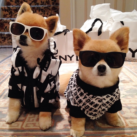 Screen Shot 2014-10-13 at 10.39.50 AM