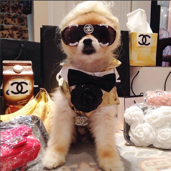 Screen Shot 2014-10-13 at 10.40.25 AM