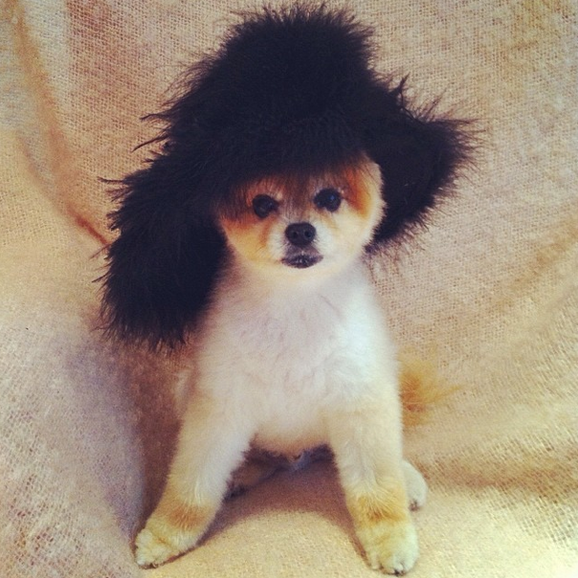 Screen Shot 2014-10-13 at 10.41.06 AM