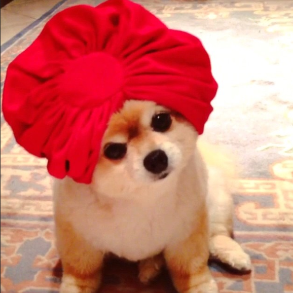 Screen Shot 2014-10-13 at 10.45.54 AM