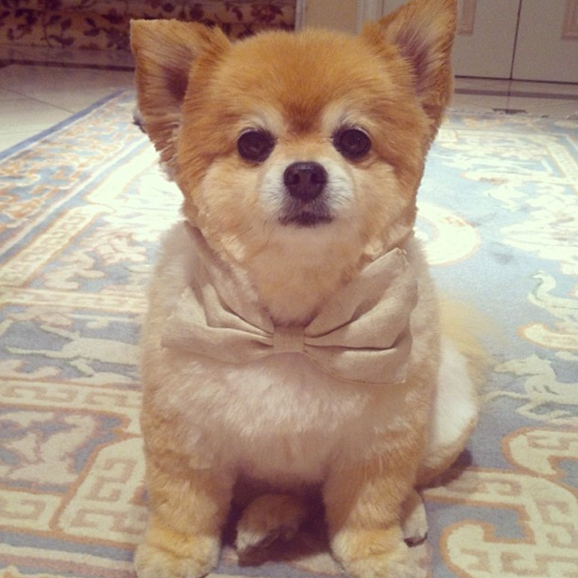 Screen Shot 2014-10-13 at 10.47.31 AM