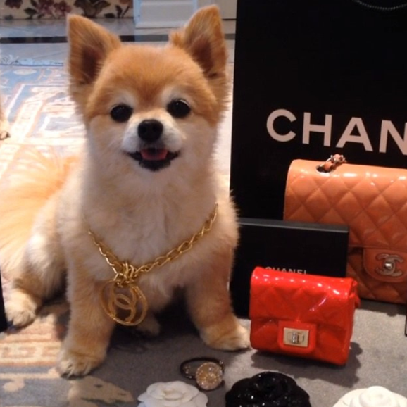 Screen Shot 2014-10-13 at 10.48.27 AM