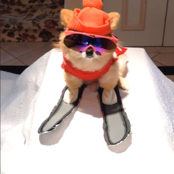 Screen Shot 2014-10-13 at 10.50.33 AM