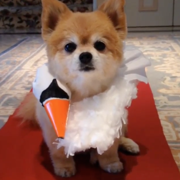 Screen Shot 2014-10-13 at 11.42.16 AM