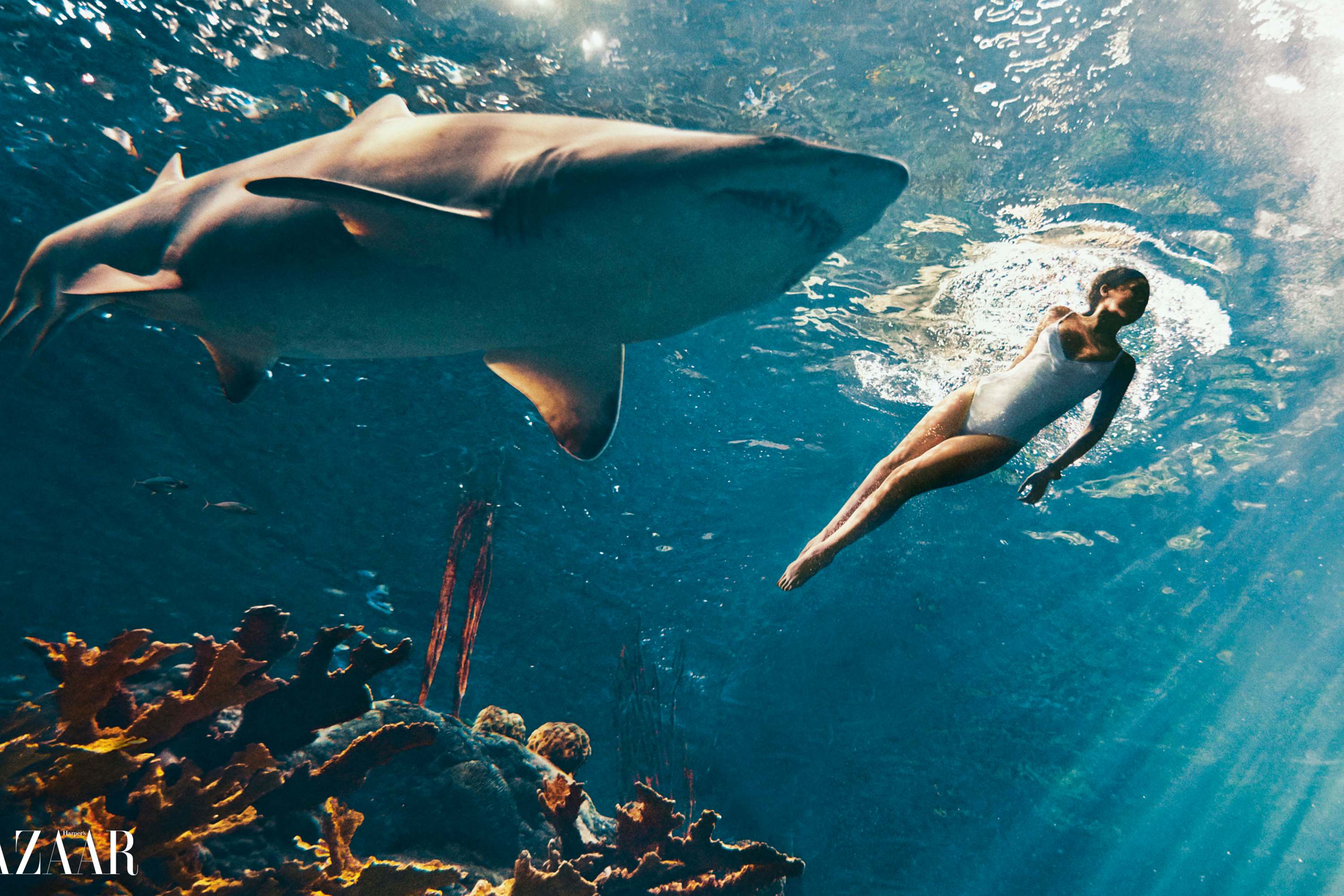 Rihanna swimming with sharks