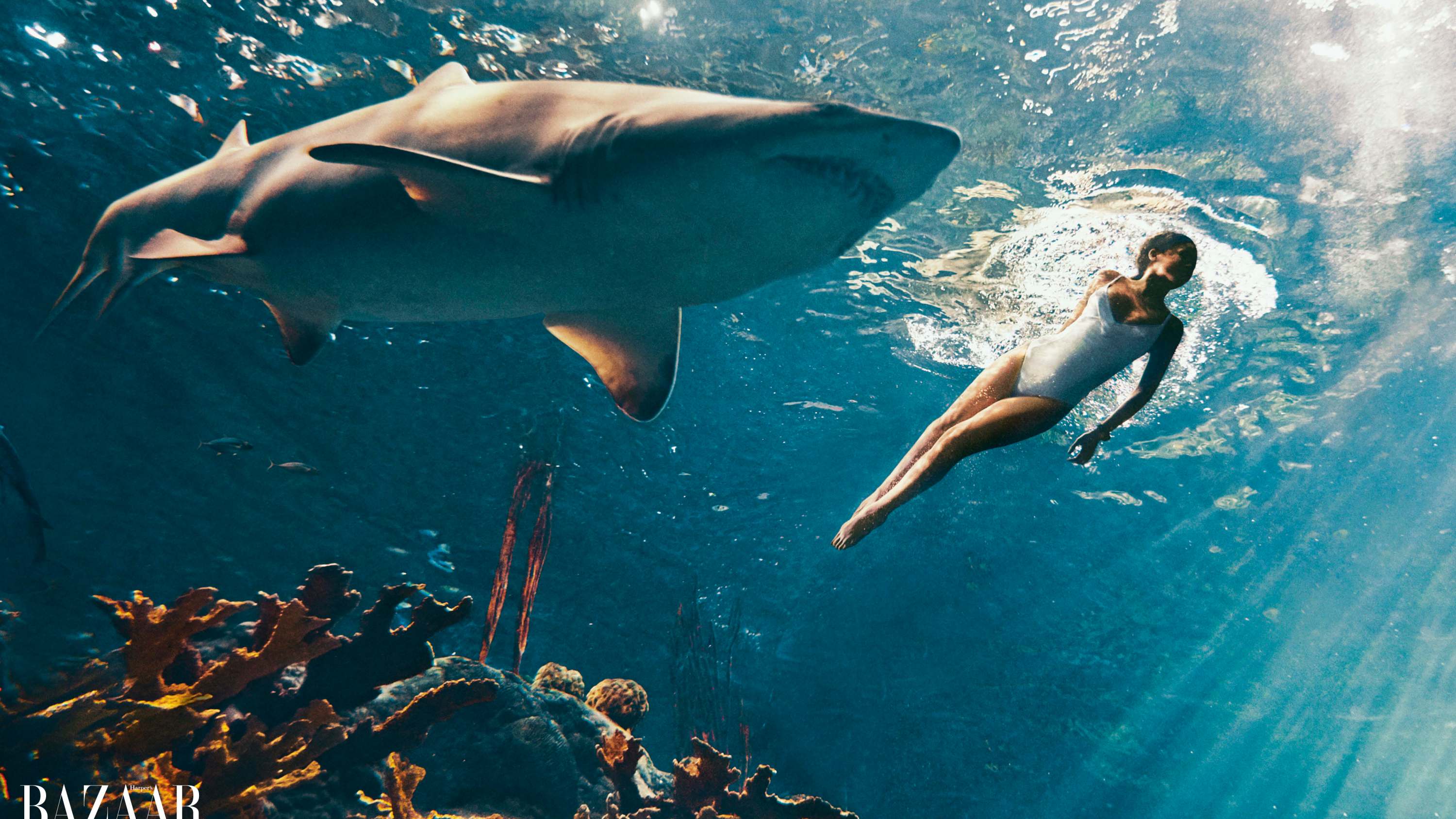 Rihanna swimming with sharks
