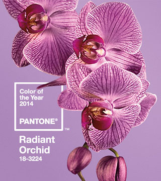 Pantone Declares Rose Quartz and Serenity the 2016 Colors of the Year