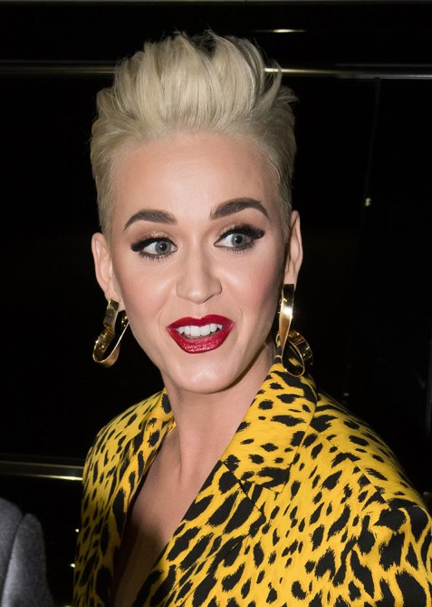 STYLECASTER | Celebrity Pompadours | Katy Perry