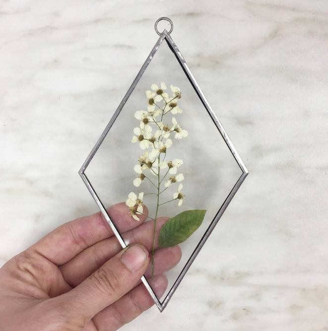 STYLECASTER | framed plants