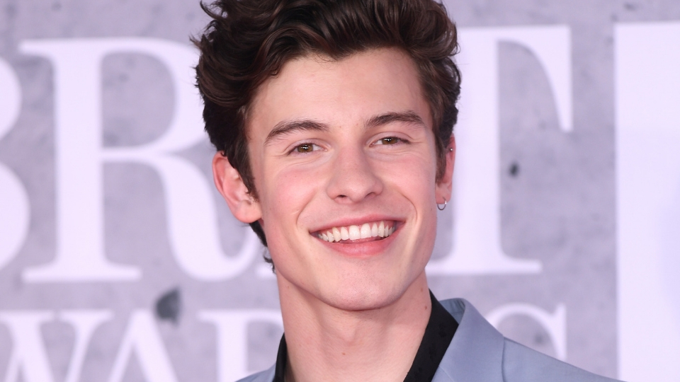 shawn mendes