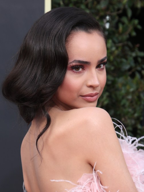 77th Annual Golden Globe Awards, Arrivals, Los Angeles, USA - 05 Jan 2020