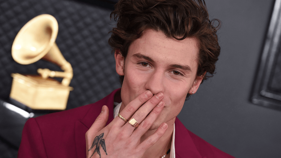 Shawn Mendes Grammys 2020