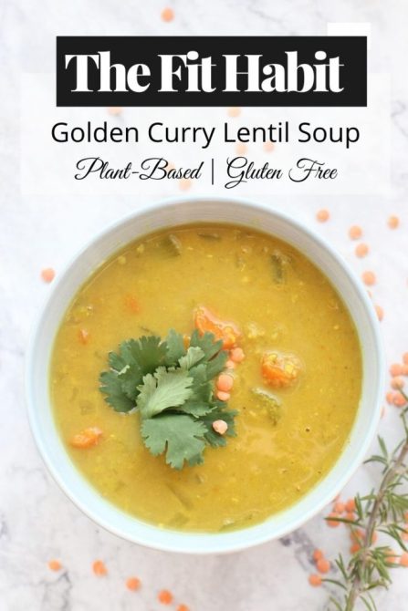 slow cooker lentil soup image