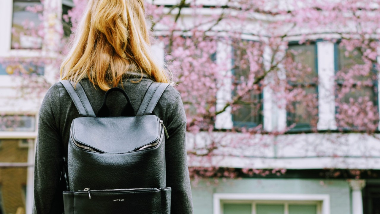 Best Fashion Mini Backpacks on Amazon