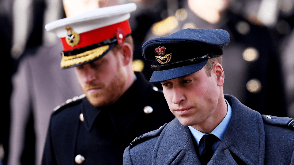 Prince Harry, Prince William