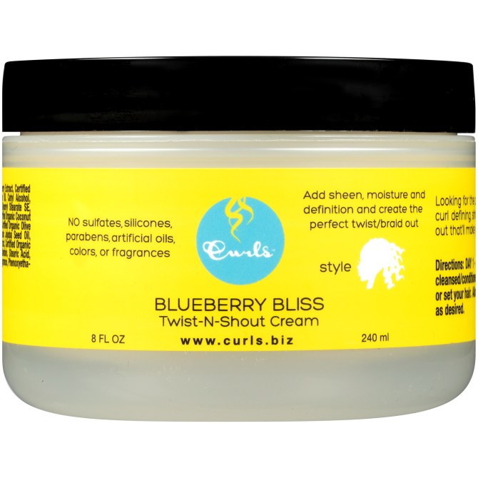 Blueberry Bliss Twist and Curl Cream