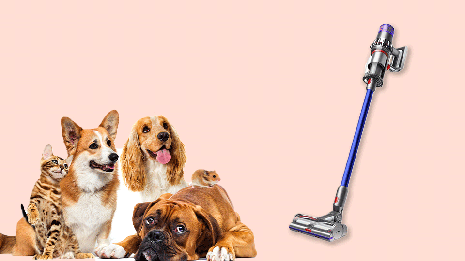 dyson-v11-torque-drive-vacuum-review