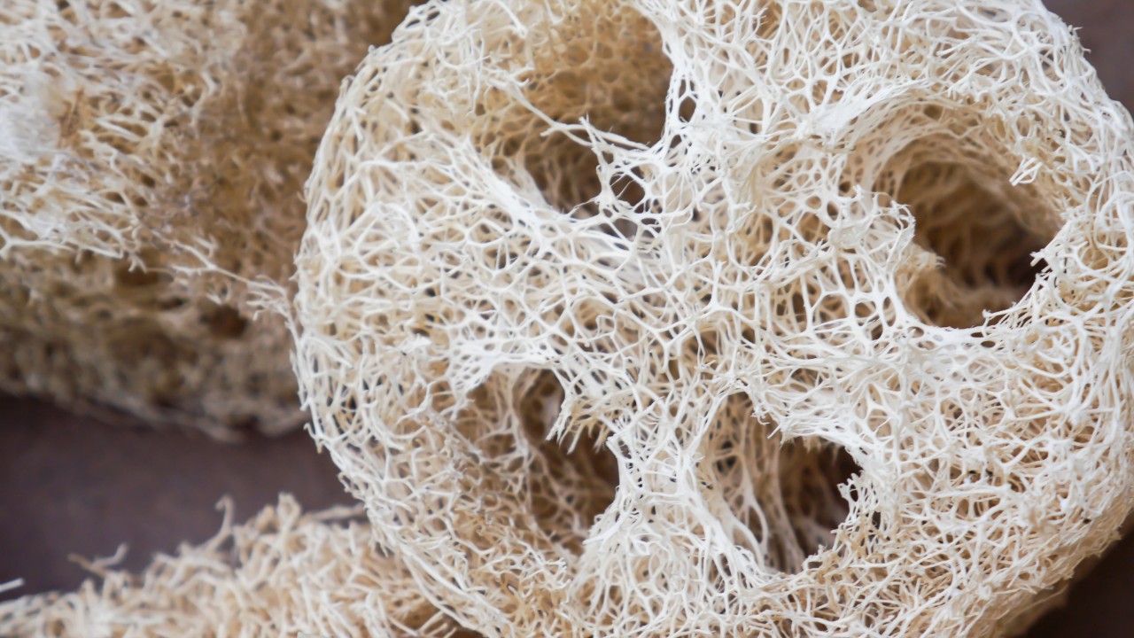 Best Exfoliating Loofahs on Amazon