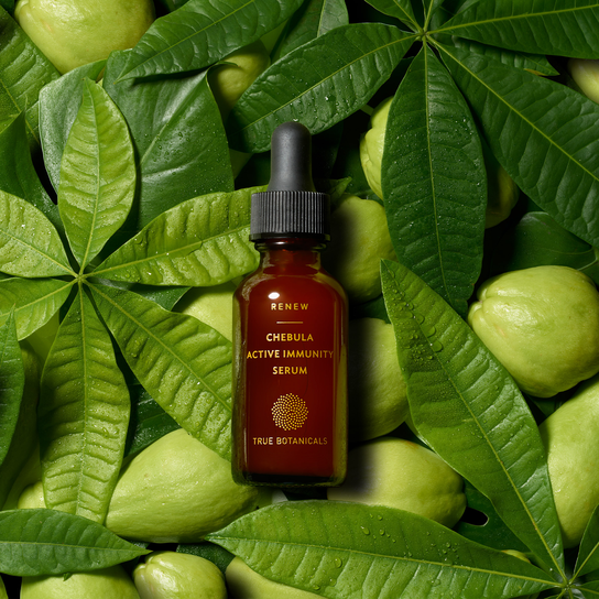 STYLECASTER | Chebula Skincare Ingredient