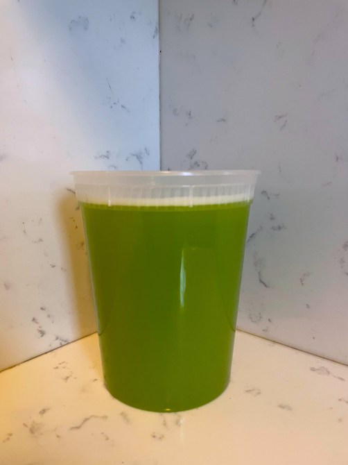 STYLECASTER | Easy Green Juice Recipe