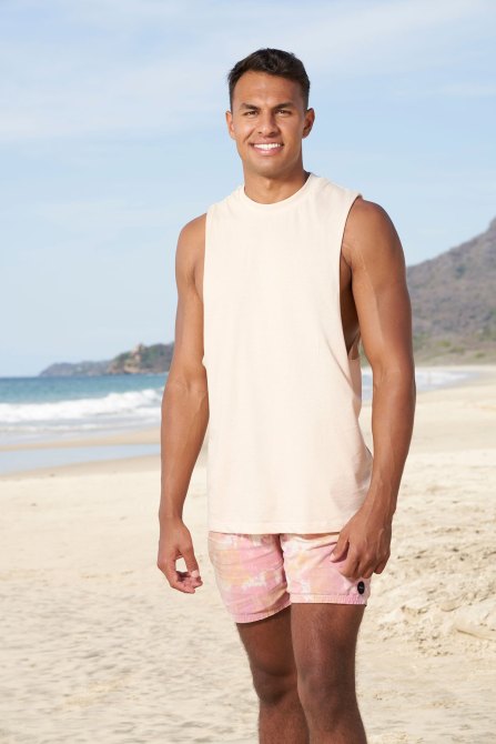Aaron, "Bachelor in Paradise"
