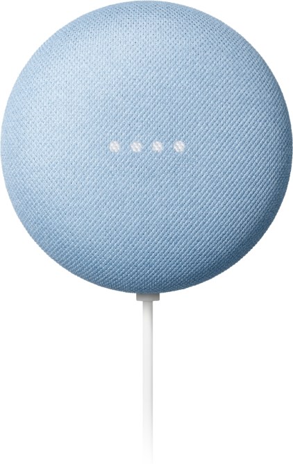 Google Nest Mini Best Buy
