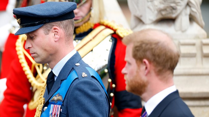 Prince William, Prince Harry