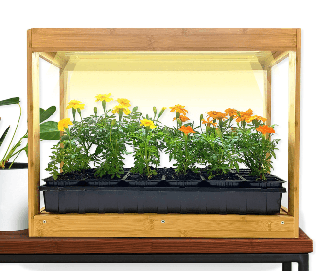 Ferry-Morse Modern Indoor Bamboo LED Growhouse