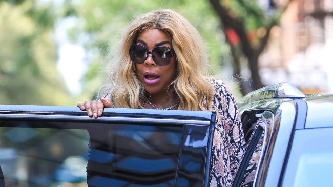 Wendy Williams' Aphasia Diagnosis