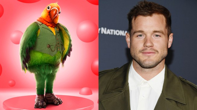 Who's Lovebird on The Masked Singer?