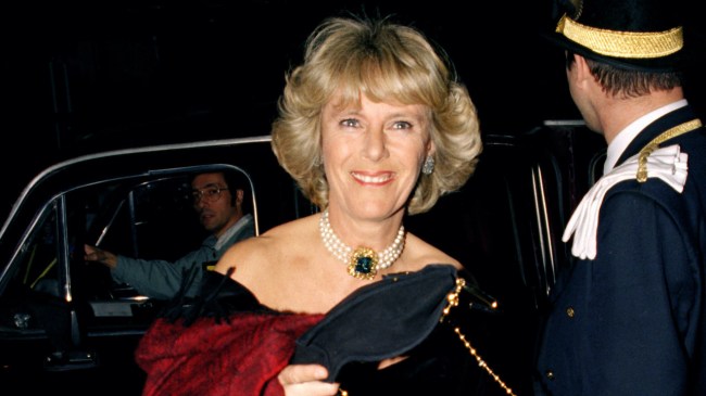 Camilla Parker Bowles Young Photos: Queen Camilla Now vs Then