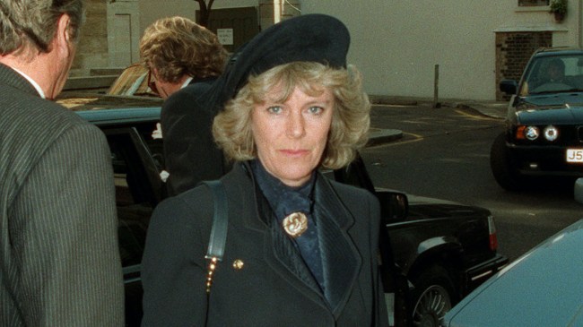 Camilla Parker Bowles Young Photos: Queen Camilla Now vs Then