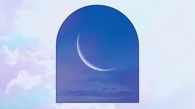The new moon in Aquarius rising on January 29, 2025 affecting each zodiac sign's horoscope