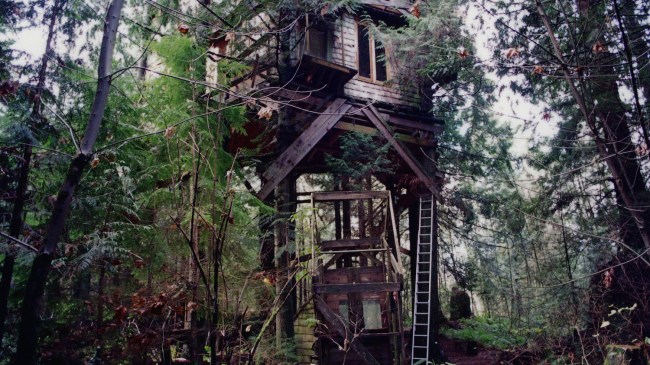Scott Scurlock's treehouse in How to Rob a Bank on Netflix