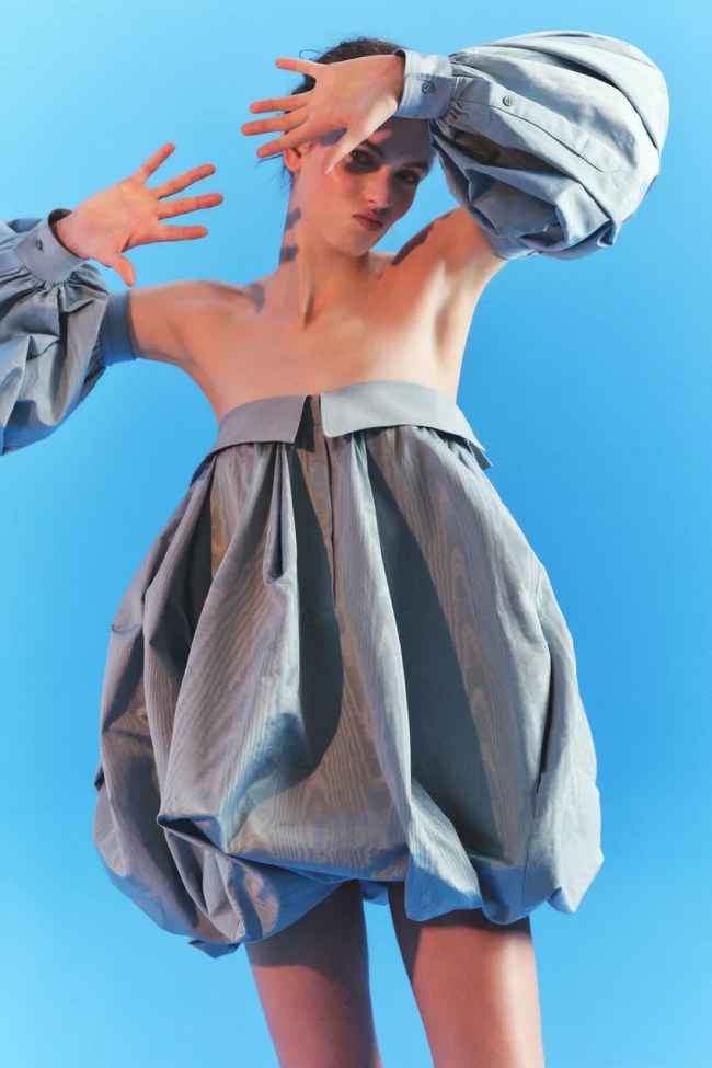 Zara Balloon Dress with Sleeves