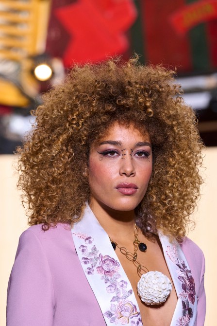 Christophe Guillarme fall/winter 2024 runway