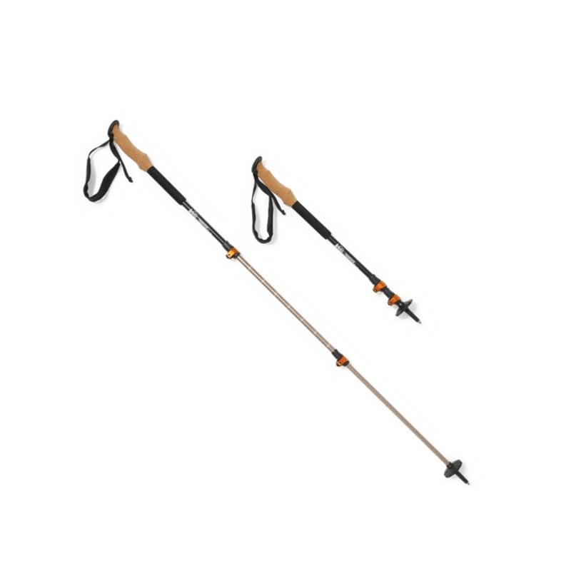REI Co-Op Traverse Trekking Poles