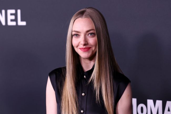 NEW YORK, NEW YORK - OCTOBER 23: Amanda Seyfried attends the Museum Of Modern Art's 16th Annual Film Benefit on October 23, 2024 in New York City.