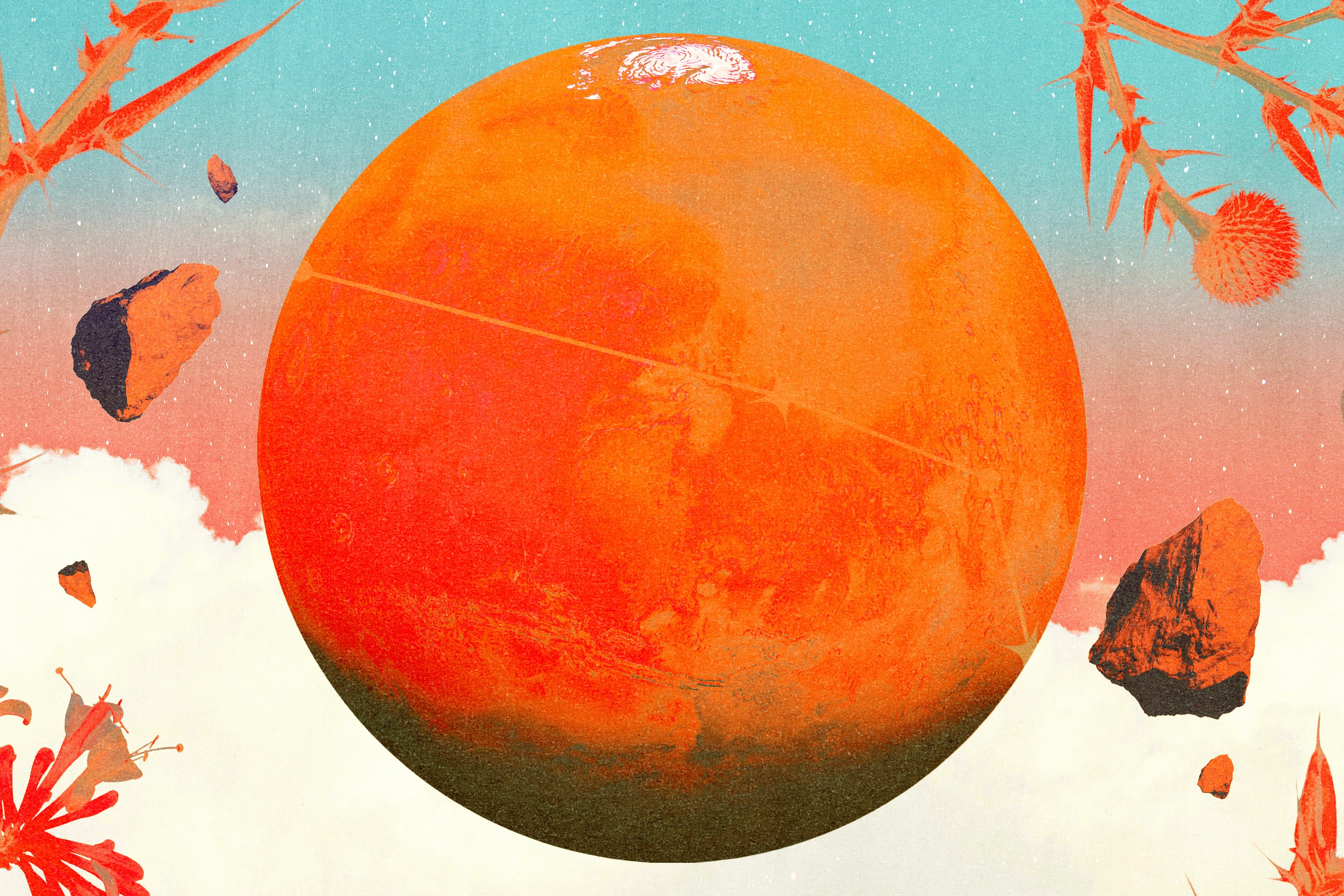 Planet Mars in orange and red colors, surrounded by branches and herbs that represent spring.