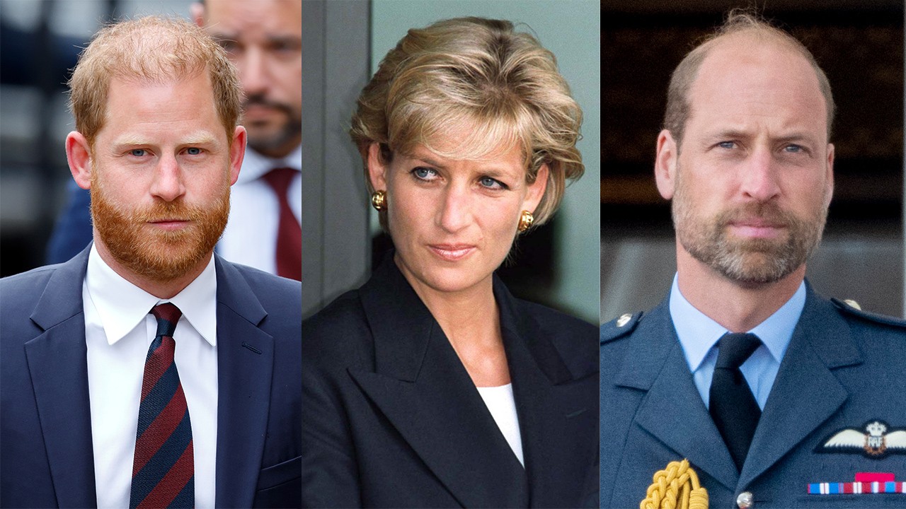 Prince William, Princess Diana, Prince Harry